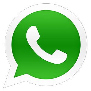 WhatsApp 2.2019.8 [Multi/Ru] (2020) PC