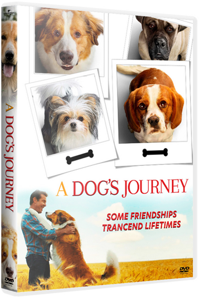 Собачья жизнь 2 / A Dog's Journey