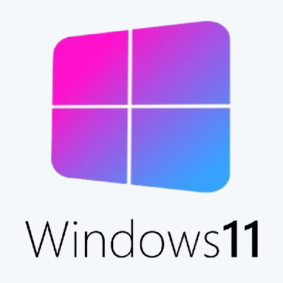 Windows 11 Pro 21H2 22000.348 x64 by SanLex [Ru]
