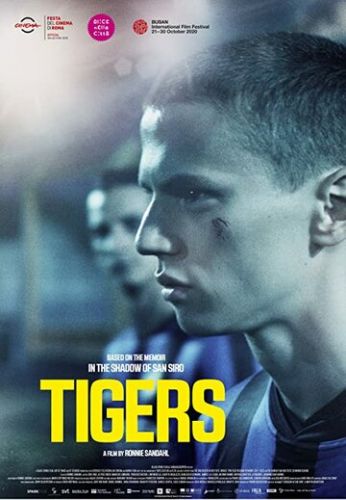 Тигры / Tigers